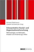 Michael Pfadenhauer, Michaela Pfadenhauer, Scheibelhofer, Scheibelhofer, Elisabeth Scheibelhofer - Interpretative Sozial- und Organisationsforschung