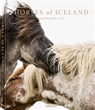 Laiz Guadalupe, Guadalupe Laiz - Horses of Iceland