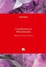 Al Al-Juboury, Ali Al-Juboury - Contributions to Mineralization