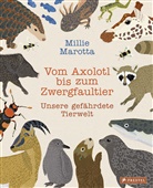 Millie Marotta, Millie Marotta - Vom Axolotl zum Zwergfaultier