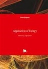 Tolg Taner, Tolga Taner - Application of Exergy