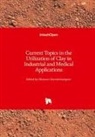 Mansoo Zoveidavianpoor, Mansoor Zoveidavianpoor - Current Topics in the Utilization of Clay in Industrial and Medical Applications