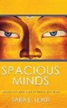 Sara E. Lewis - Spacious Minds