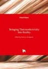 Patrici Aranguren, Patricia Aranguren - Bringing Thermoelectricity into Reality