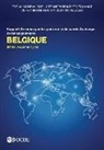 Oecd - Forum Mondial Sur La Transparence Et l'Échange de Renseignements À Des Fins Fiscales: Belgique 2018 (Deuxième Cycle) Rapport d'Examen Par Les Pairs Su