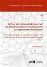 Arnold Seiler - Einfluss der Leitungselektronen auf die Dynamik atomarer Tunnelsysteme in ungeordneten Festkörpern: Relaxationsprozesse in metallischen Gläsern und ungeordneten dünnen Aluminiumoxid-Schichten