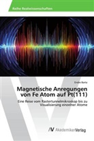 Endre Barta - Magnetische Anregungen von Fe Atom auf Pt(111)