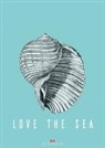 Maritimes Notizbuch - Illustration: Muschel, Spruch: Love the Sea, 2er-Set
