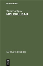 Werner Schulze - Molekülbau