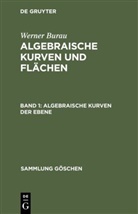 Werner Burau - Werner Burau: Algebraische Kurven und Flächen - Band 1: Algebraische Kurven der Ebene