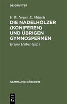 E. Münch, F. W. Neger, Bruno Huber - Die Nadelhölzer (Koniferen) und übrigen Gymnospermen