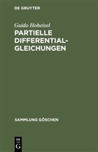 Guido Hoheisel - Partielle Differentialgleichungen