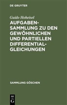 Guido Hoheisel - Aufgabensammlung zu den gewöhnlichen und partiellen Differentialgleichungen