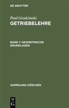 Paul Grodzinski - Paul Grodzinski: Getriebelehre - Band 1: Geometrische Grundlagen