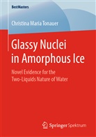 Christina Maria Tonauer - Glassy Nuclei in Amorphous Ice