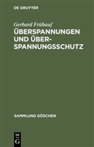 Gerhard Frühauf - Überspannungen und Überspannungsschutz