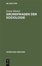 Georg Simmel - Grundfragen der Soziologie