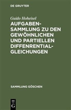 Guido Hoheisel - Aufgabensammlung zu den gewöhnlichen und partiellen Diffenrentialgleichungen