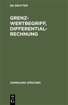 Martin Barner, Degruyter - Grenzwertbegriff, Differentialrechnung