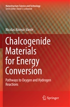 Nicolas Alonso-Vante - Chalcogenide Materials for Energy Conversion