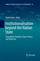 Elain Fahey, Elaine Fahey - Institutionalisation beyond the Nation State