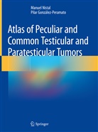 Pilar González-Peramato, Manue Nistal, Manuel Nistal - Atlas of Peculiar and Common Testicular and Paratesticular Tumors