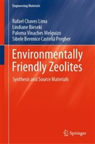 Lindian Bieseki, Lindiane Bieseki, Sibele Berenice Castellã Pergher, Rafae Chaves Lima, Rafael Chaves Lima, Rafael Chaves Lima... - Environmentally Friendly Zeolites