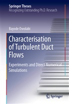 Bayode Owolabi - Characterisation of Turbulent Duct Flows