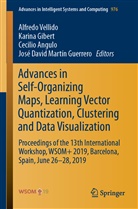 Cecilio Angulo, Cecilio Angulo et al, Karin Gibert, Karina Gibert, José David Martín Guerrero, Alfredo Vellido - Advances in Self-Organizing Maps, Learning Vector Quantization, Clustering and Data Visualization