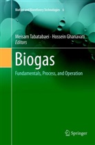 Ghanavati, Ghanavati, Hossein Ghanavati, Meisa Tabatabaei, Meisam Tabatabaei - Biogas