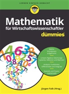 Jürgen Faik, Tim Sigg, Timm Sigg, Jürge Faik, Jürgen Faik - Mathematik für Wirtschaftswissenschaftler für Dummies