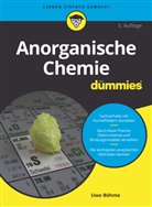 Uwe Böhme - Anorganische Chemie für Dummies