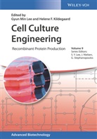 Helene Faustrup Kildegaard, Gyun Min Lee, Sang Yup Lee, Jens Nielsen, Gregory Stephanopoulos, Helen Faustrup Kildegaard... - Cell Culture Engineering
