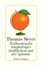 Thomas Meyer - Wolkenbruchs waghalsiges Stelldichein mit der Spionin
