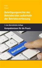 Michael Brauer, Pete Pulte, Peter Pulte - Beteiligungsrechte des Betriebsrates außerhalb der Betriebsverfassung