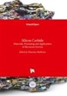 Moumit Mukherjee, Moumita Mukherjee - Silicon Carbide