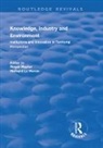 Roger Hayter, Hayter Roger, Le heron, Richard Le Heron, Richard Hayter Le Heron, Le Heron Richard - Knowledge, Industry and Environment
