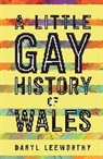 Daryl Leeworthy, Leeworthy Daryl - Little Gay History of Wales