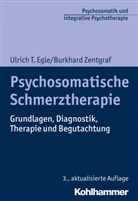 Ulrich Egle, Ulrich T Egle, Ulrich T. Egle, Burkhard Zentgraf, Ulrich T. Egle, Christoph Flückiger... - Psychosomatische Schmerztherapie