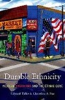 Christina A. Sue, Sue Christina A., Edward Telles, Edward (Professor of Sociology Telles, Edward E. Telles - Durable Ethnicity