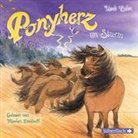 Usch Luhn, Marlen Diekhoff - Ponyherz 14: Ponyherz im Sturm, 1 Audio-CD (Hörbuch)
