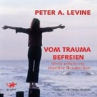 Peter A Levine, Peter A. Levine, Helge Heynold - Vom Trauma befreien, 1 Audio-CD (Audiolibro)