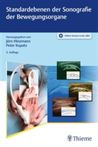 Jörn Hinzmann, Peter Kupatz, Jör Hinzmann, Jörn Hinzmann, Kupatz, Kupatz... - Standardebenen der Sonografie der Bewegungsorgane