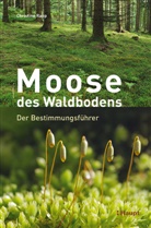 Christine Rapp - Moose des Waldbodens
