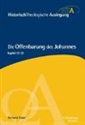 Gerhard Maier - Die Offenbarung des Johannes. Kapitel 12-22