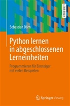 Sebastian Dörn - Python lernen in abgeschlossenen Lerneinheiten