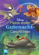 Disney Vorlesebuch: Meine ersten Gutenacht-Geschichten