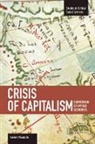 Luciano Vasapollo, Vasapollo Luciano - Crisis Of Capitalism: Compendium Of Applied Economics (global Capitalism)