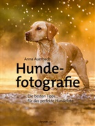 Anna Auerbach - Hundefotografie