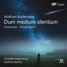 Wolfram Buchenberg - Dum medium silentium, 1 Audio-CD (Hörbuch)